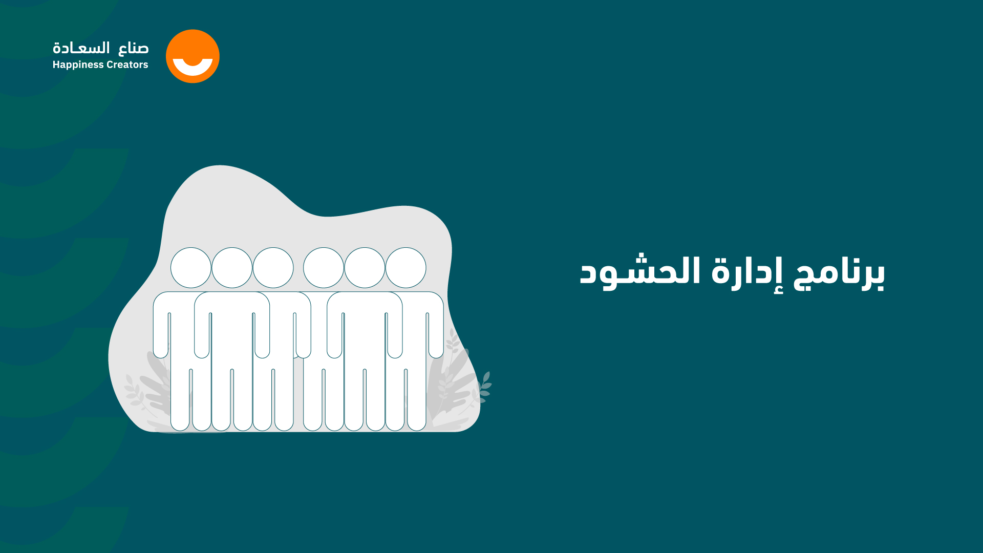 إدارة الحشود HSE2